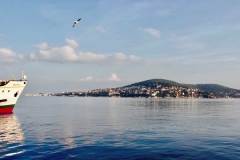 Princes Islands-Istanbul Turkey, Photo by Ali Golroo